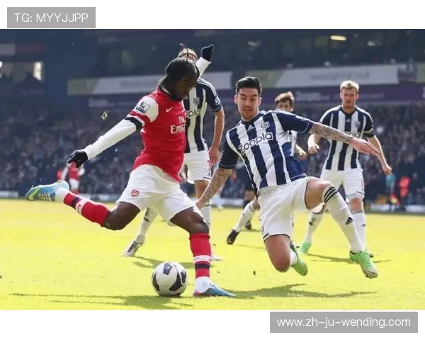 莱切斯特城足球俱乐部在英超联赛中的表现解析